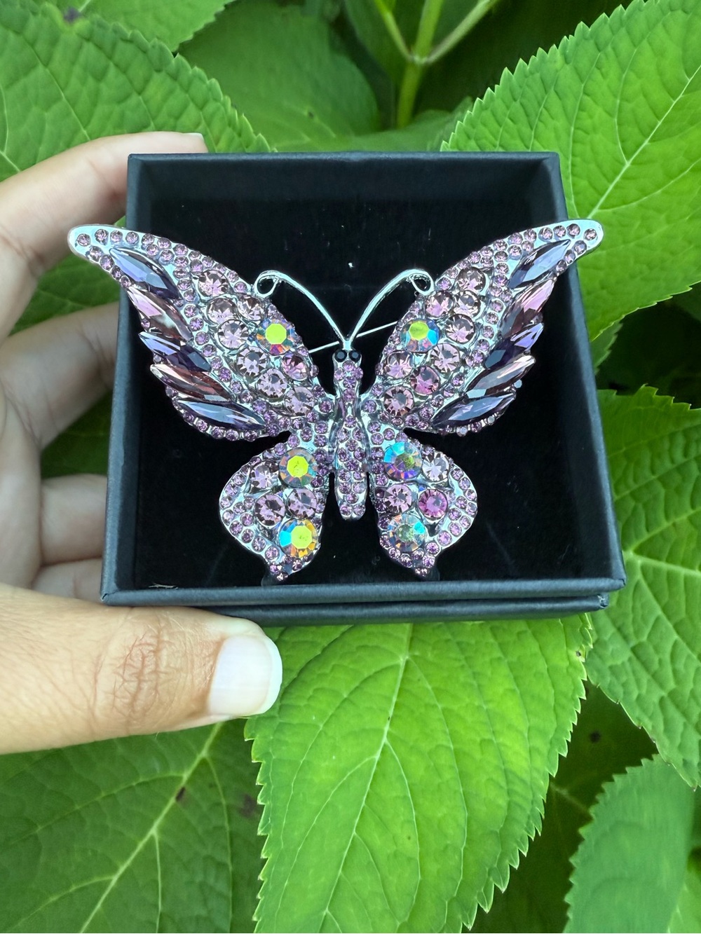 Purple large butterfly brooch